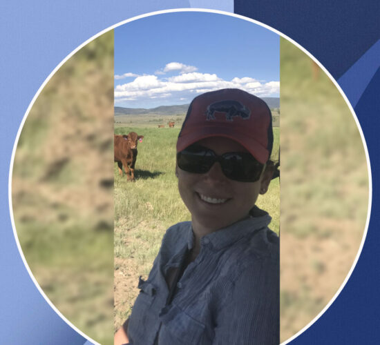 Alison Schrag Photos